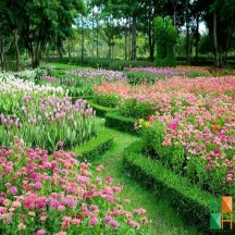 Tranh dán tường cho phòng khách đẹp tại Hà Nội NA - 218